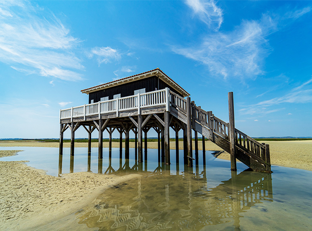 Bassin d'Arcachon