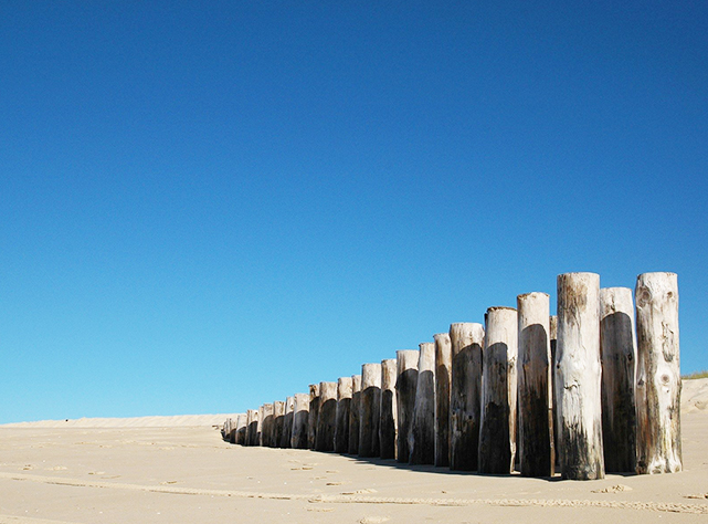 Bassin d'Arcachon