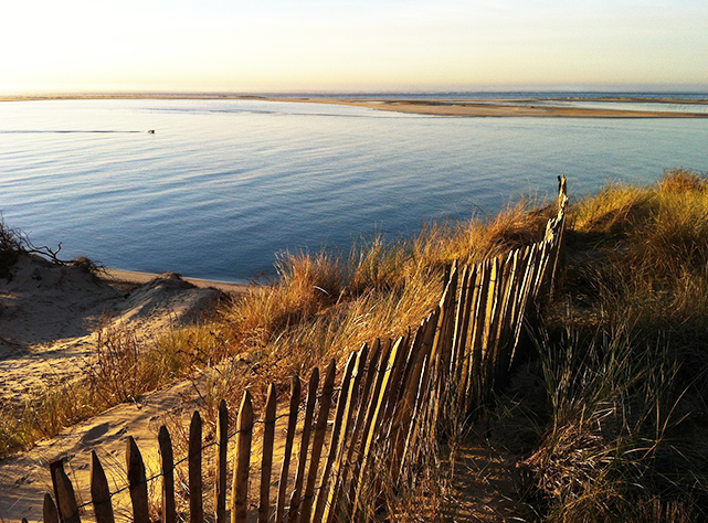 Bassin d'Arcachon